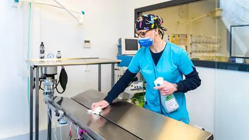 ASV chirurgie Animal Clinic