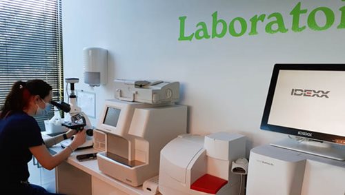 Laboratoire IDDEXX Animal Clinic
