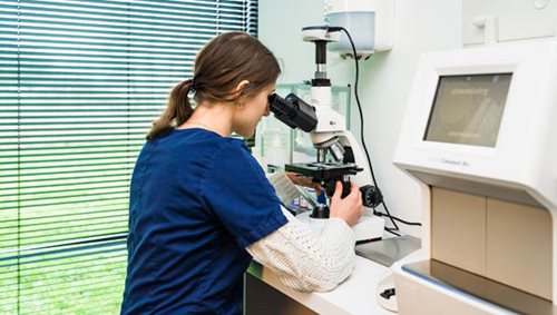 Asv microscope Animal Clinic